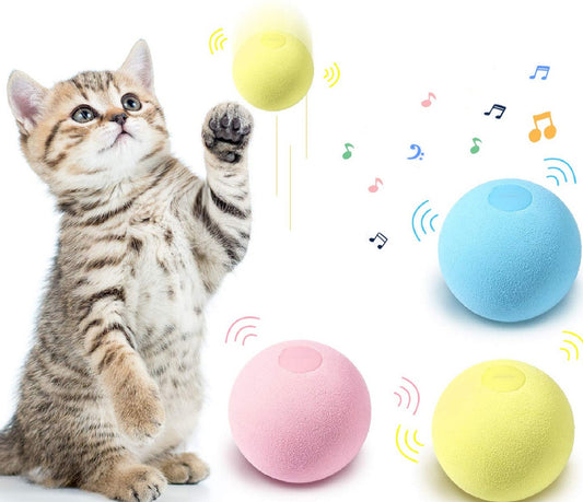 Kittyone-Elektronisches Katzenball, Katzenspielzeug